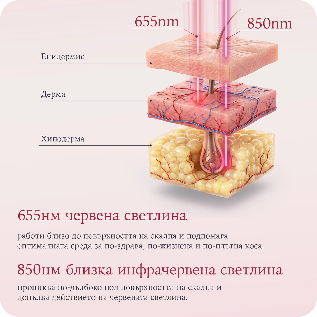 UltraLeden Brush™ Сет